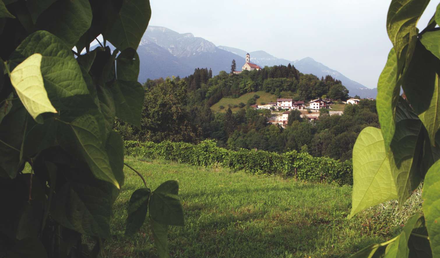 Consorzio Tutela Fagiolo di Lamon -  La strada del fagiolo - I comuni aderenti