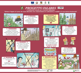 Progetto Falares - Presentazione