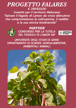 Progetto Falares - Presentazione